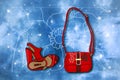 Cartoon illustration - women`s sandals and Lady`s bag
